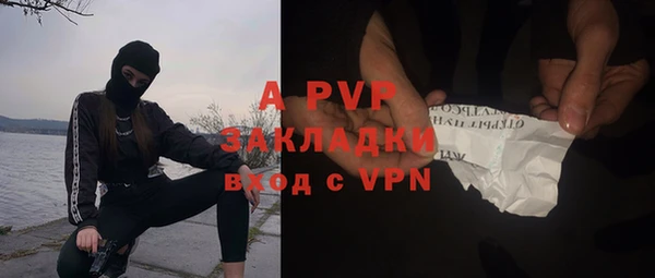 a pvp Белокуриха